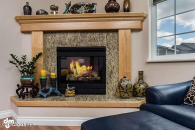 11334 Tulin Park Loop-small-013-Fireplac