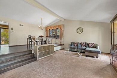 4212 Cedarwood Ln, Matteson, IL 60443 - photo 2