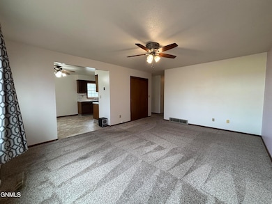 305 5th St NE, Hazen, ND 58545 - photo 5