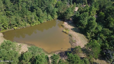 149 Lone Pine Rd, Canton, MS 39046 - photo 6