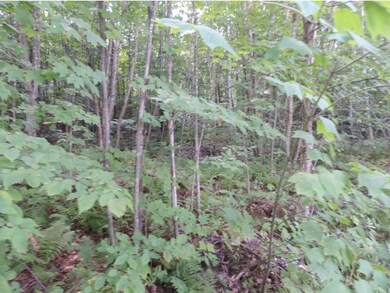 1099 Gibbs Rd, Newport, VT 05857 - photo 6