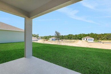 2833 Doolittle St, Tavares, FL 32778 - photo 4