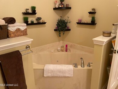 PRIMARY BATHROOM TUB
