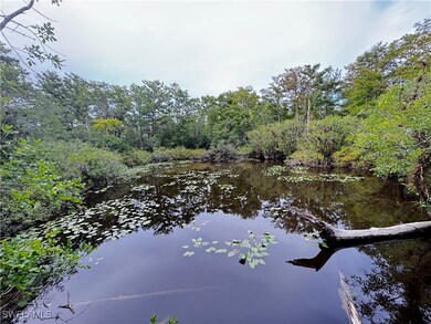 Next to Six Mile Cypress Slough Preserve