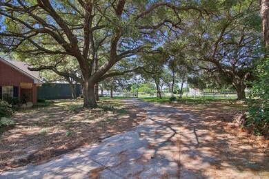 18439 Tomball Waller Rd, Tomball, TX 77377 - photo 4