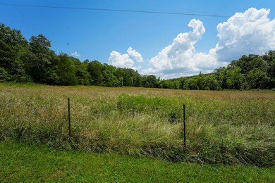 242 Blue Jay Dr, Chadwick, MO 65629 - photo 4