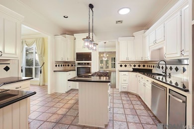 6285 Tezcuco Ct, Gonzales, LA 70737 - photo 6