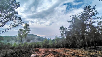 Gorgeous view of two nearby mountain tops from the highest house build site.