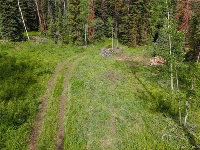 0 Springboard Colt Trail unit 8259371, Oak Creek, CO 80467 - photo 5