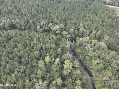 0 Columbia Purvis Rd unit 4131554, Columbia, MS 39429 - photo 3