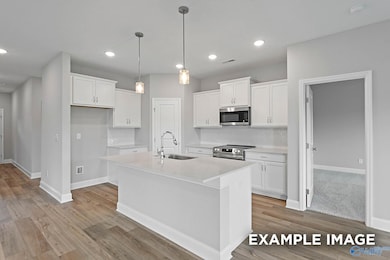 112 Plum Tree Ln, Hazel Green, AL 35750 - photo 4