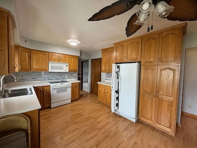 225 1st St SW, Leeds, ND 58346 - photo 6