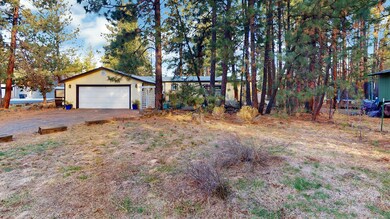 Manzanita Yard