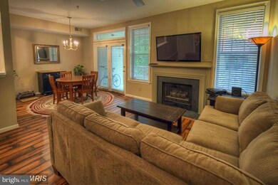 1318 Garden Wall Cir unit 213, Reston, VA 20194 - photo 2