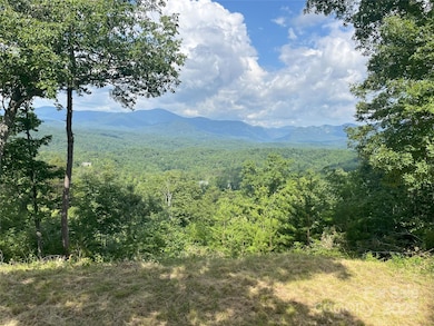 00 Bills Mountain Trail unit 6, Lake Lure, NC 28746 - photo 2