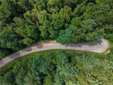 000 Antler Dr, McGrady, NC 28649 - photo 3