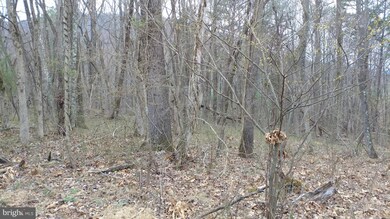 0 Shangri-La Rd unit 1000196351, Bentonville, VA 22610 - photo 5