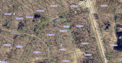 0 Flinstone Dr, Cushing, MN 56443 - photo 6