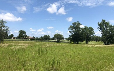 LOT43 Upstage Glen, Lake City, FL 32024 - photo 3