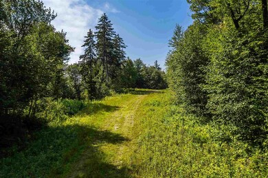 04 Turtle Hill Rd unit 4, Ludlow, VT 05149 - photo 5