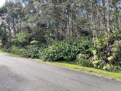 0 3rd St unit 725812, Volcano, HI 96785 - photo 3