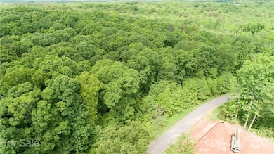 137 Hannaford Place unit 9, Gastonia, NC 28052 - photo 4