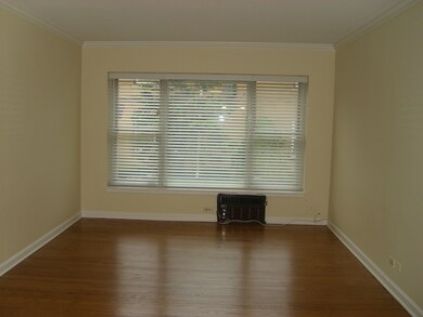 7209 Division St unit A1, River Forest, IL 60305 - photo 5