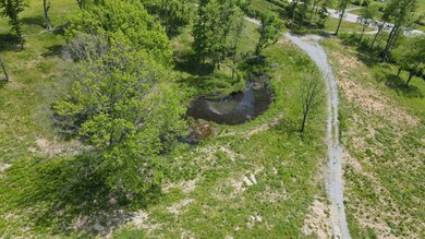 0 Hwy 437 Horse Mountain Rd unit RTC2387818, Wartrace, TN 37183 - photo 6