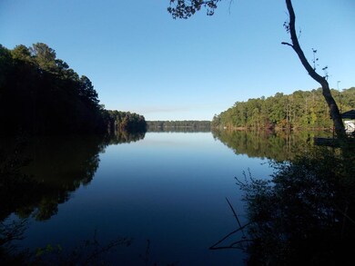 14 Riverview Ct, Lincolnton, GA 30817 - photo 6