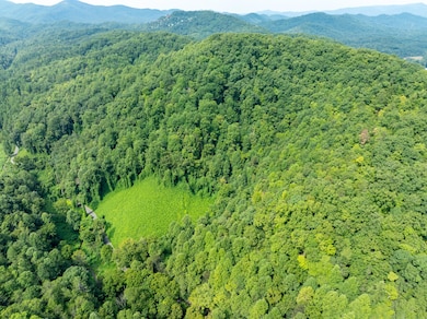 206 Caney Creek Rd, Pigeon Forge, TN 37863 - photo 7