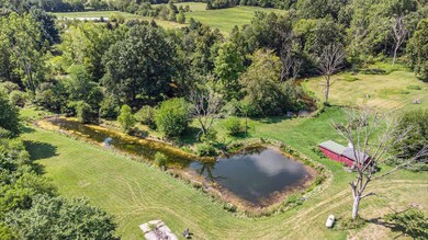 2464 Hand Rd pond and creek