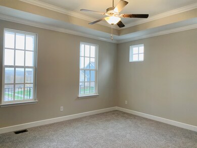 Master bedroom on main level, trey ceiling with view to front.