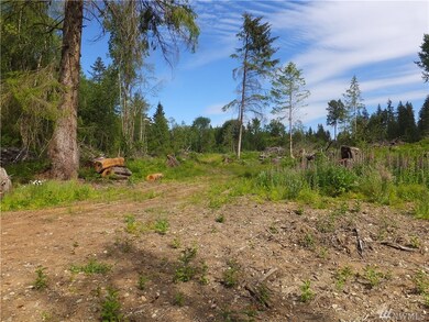 28TH 28th Ave NW, Stanwood, WA 98292 - photo 5