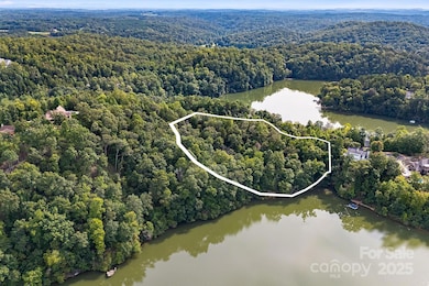 1140 Laurel Crest Ln, Mill Spring, NC 28756 - photo 5