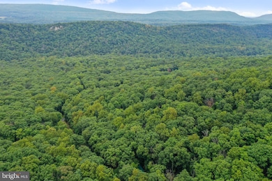 333 Rouse Mountain Rd, Great Cacapon, WV 25422 - photo 2