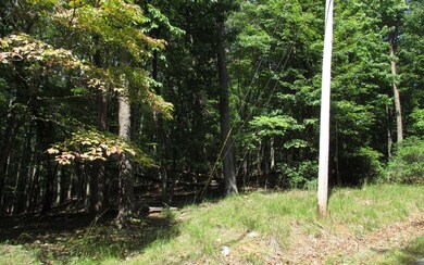 Additional View
