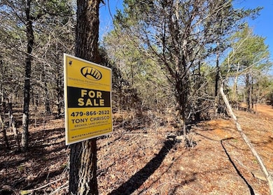 Tbd unit LotWP001, Natural Dam, AR 72948 - photo 5