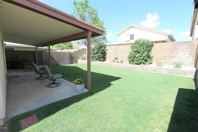 Backyard 3