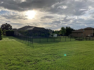 REAR VIEW / SUNSET