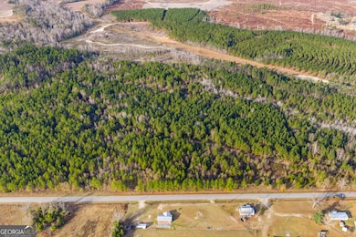 0 Quick Rd unit LOT 10B, Swainsboro, GA 30401 - photo 6