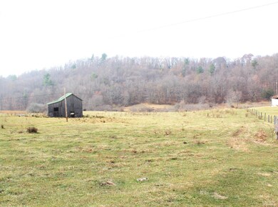 793 Coffeytown Rd, Vesuvius, VA 24483 - photo 4