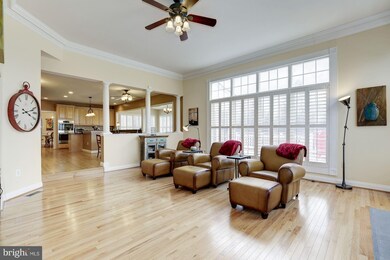 16600 Sea Island Ct, Silver Spring, MD 20905 - photo 7