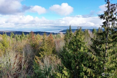 702 Chelsamish Dr, Sequim, WA 98382 - photo 4