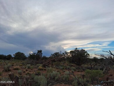 201 County Rd N5380 --, Concho, AZ 85924 - photo 3