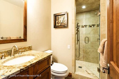 374 Equestrian Way Carbondale-small-009-