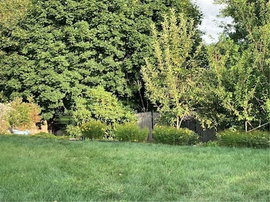 Fruit trees
