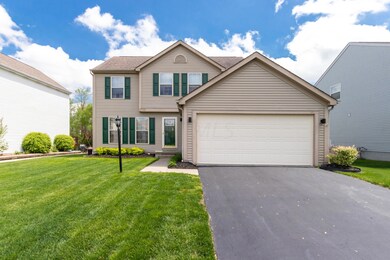 189 Purple Finch Loop-3-FULL