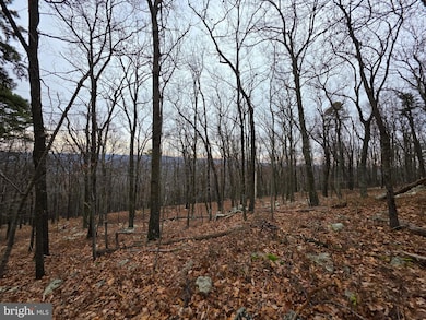 Lot 38 SEC V Breakeven Ln, Berkeley Springs, WV 25411 - photo 7