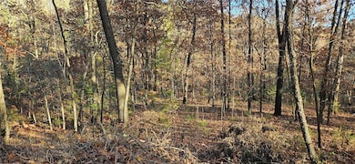 TBD Wooten Rd Rd, West Fork, AR 72774 - photo 4