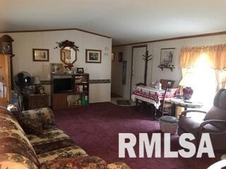 142 W Sylvan St, Virginia, IL 62691 - photo 2